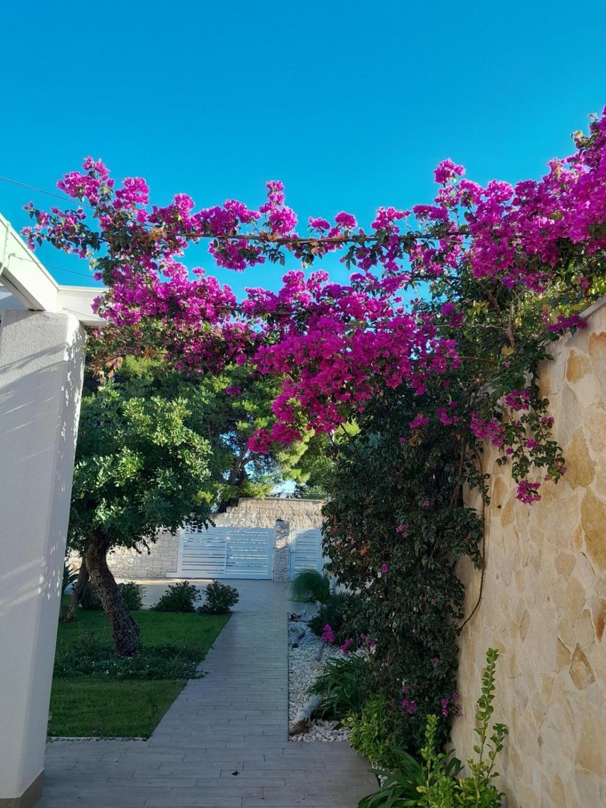 Bed and breakfast Spirito Santo